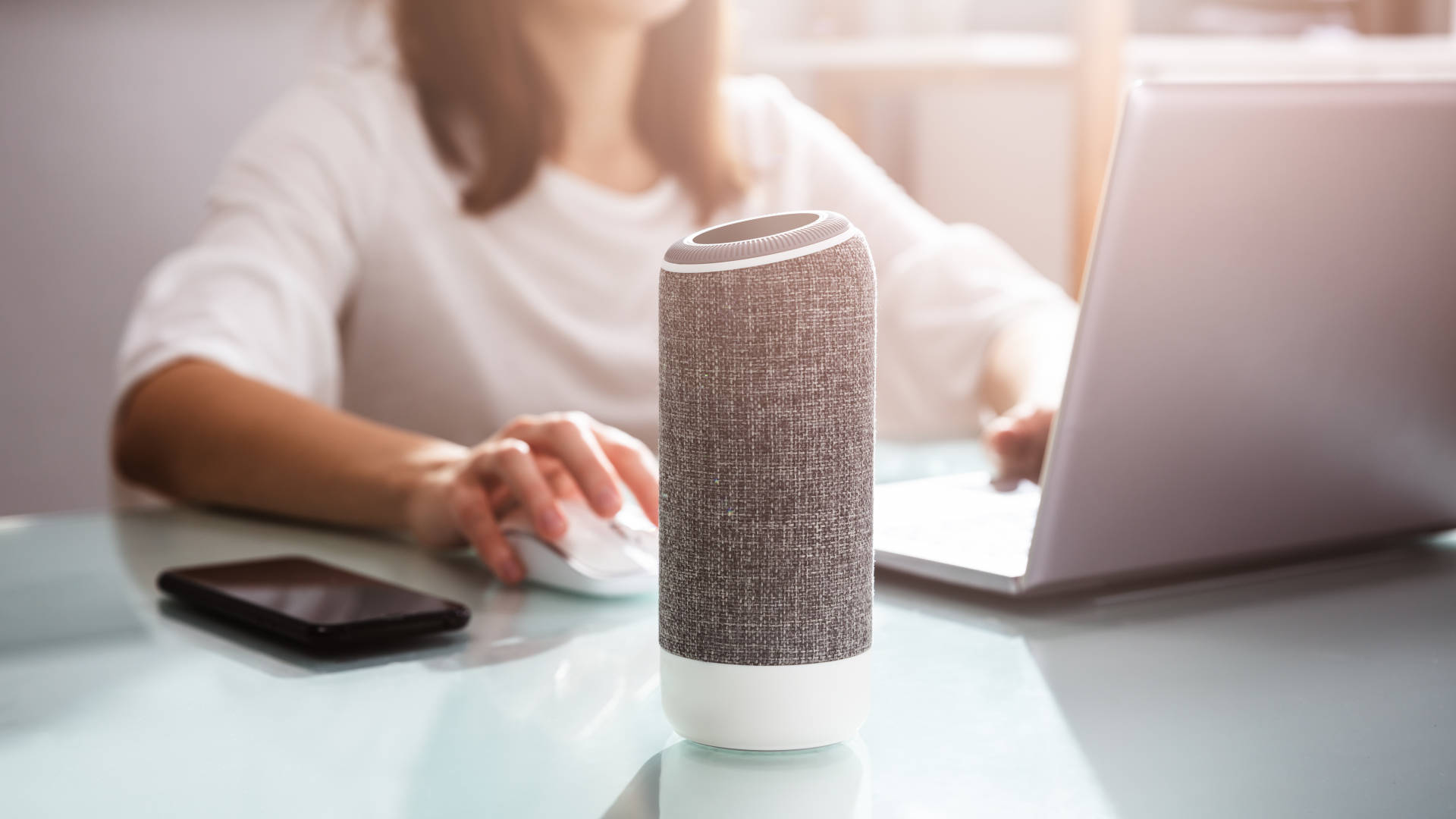 Should Your Voice Be Your Password?