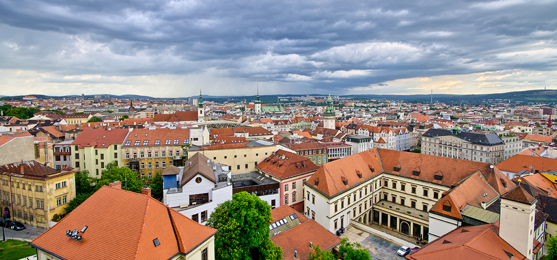Meeting the mayor of Brno City